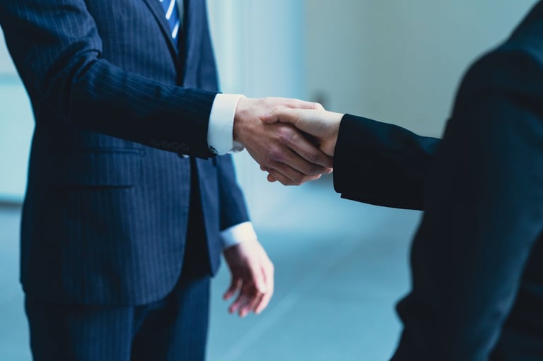 Professional handshake